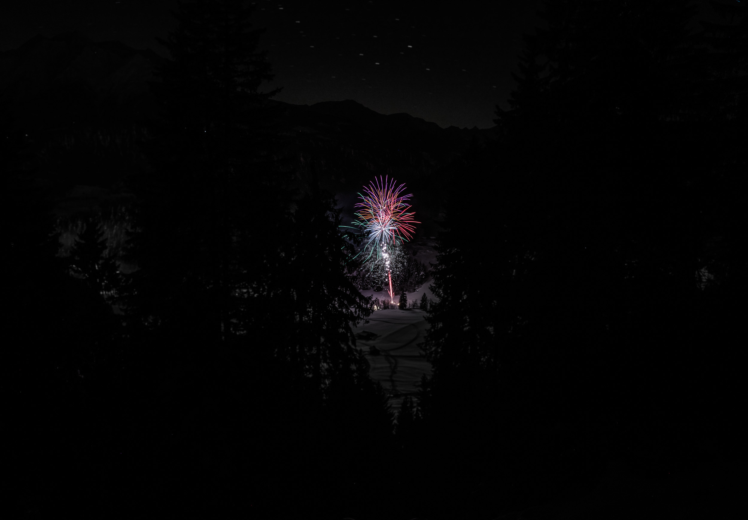Firework New Year 14